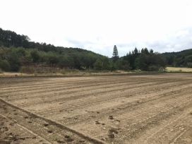 六戸町　上吉田ソーラーパーク分譲のお知らせ