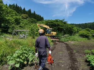 八戸市豊崎町案件、伐採開始