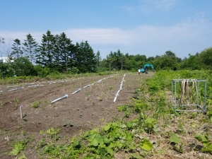 六ヶ所村案件B区画、杭打ち開始