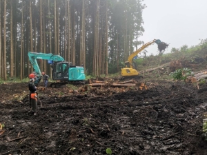 三沢市谷地頭案件、伐採開始