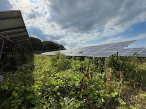 三沢市メガソーラー発電所、除草作業開始