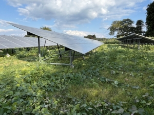 三沢市メガソーラー発電所、除草作業開始